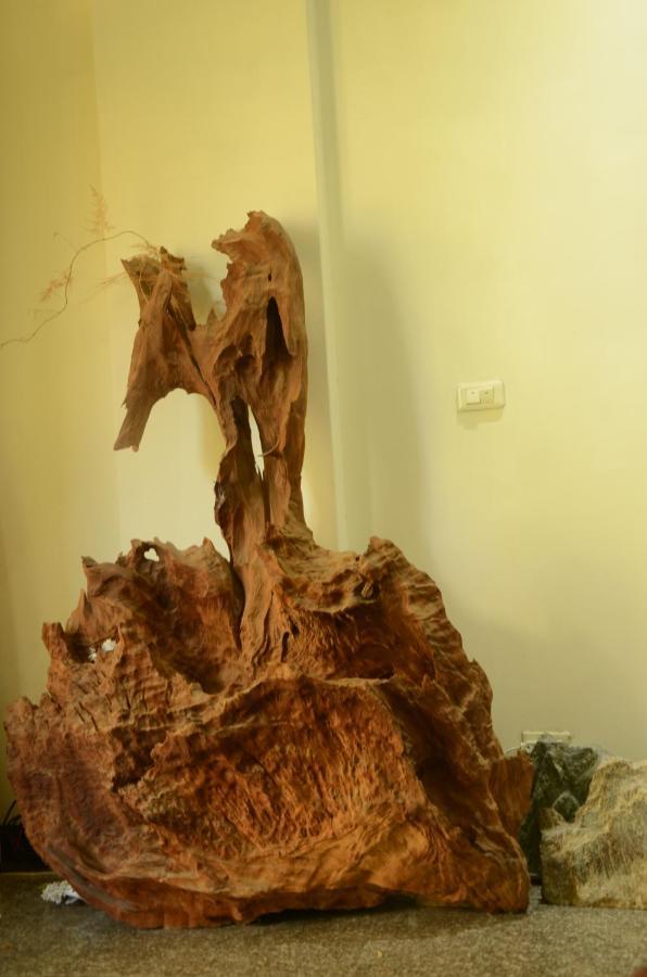 East Of Love Homestay Hualien Extérieur photo
